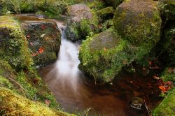 Cascata presso il Teufelsbrucke di Kassel, Germania - Colori autunnali per il paesaggio che accoglie una delle cascate al Ponte del Diavolo nel Bergpark © anweber / Shutterstock.com