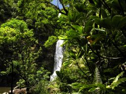 Cascata sull'isola di Molokai, Hawaii