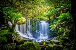 Le cascate di Horseshoe Falls sono tra le più belle dell'Australia e si trovano sul Mt Field National Park, in Tasmania. 