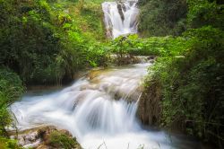 Cascate nella Villa Gregoriana di Tivoli, provincia di Roma, Lazio. Quest'area naturale di grande valore storico e paesaggistico si trova a Tivoli, nella valle scoscesa fra la sponda destra ...