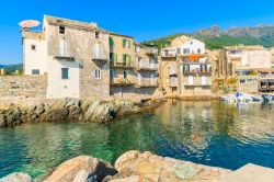 Case al porto di Erbalunga, Corsica, Francia. ...
