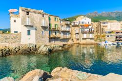 Case al porto di Erbalunga, Corsica, Francia. Sul bel porticciolo della città di mare si affacciano antiche case in pietra e numerosi ristoranti che cucinano specialità di pesce.




 ...