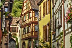 Le pittoresche case del centro di Kaysersberg. Questo piccolo borgo alsaziano conta circa 2700 abitanti e sorge a 8 km dalla città di Colmar - © Pack-Shot / Shutterstock.com