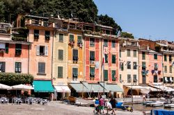 Le case colorate di Portofino affacciate sul mare, Genova, Liguria - © MandriaPix / Shutterstock.com