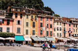 Le case colorate di Portofino affacciate sul mare, Genova, Liguria - © MandriaPix / Shutterstock.com