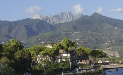 Case in mezzo ai pini costieri a Massa Marittima, sullo sfondo le Alpi Apuane dove si trovano le celebri cave di marmo - © Greta Gabaglio / Shutterstock.com