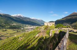 Castel Grumello con i suoi vigneti alla periferia di Sondrio, in Valtellina (Lombardia).
