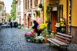 Castelli Romani: uno scorcio del centro di Grottaferrata - © nomadFra / Shutterstock.com 