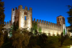 Il Castello Scaligero di Lazise sul Lago di Garda ...