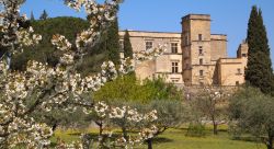 Il castello di Lourmarin (Francia) in primavera, con la fioritura degli alberi della campagna che lo circonda - foto © Fondation Robert Laurent Vibert
