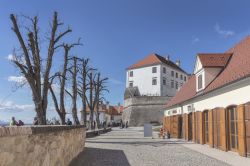 Il castello medievale di Ptuj, Slovenia, in una giornata di sole invernale. Il castello sorge sulla collina che domina la città dove sono state ritrovate testimonianze preistoriche - Cortyn ...