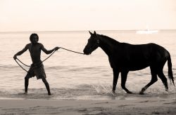 A Barbados, tra le varie attività, è possibile cavalcare sulla spiaggia - Fonte: Barbados Tourism Authority