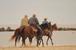 Cavalli in spiaggia a Lido di Savio in Emilia Romagna