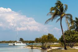 La bellissima isola di Cayo Blanco (Cuba), al largo di Varadero, è raggiungibile con escursioni organizzate in catamarano.
