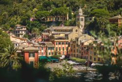 Il centro storico di Portofino con la chiesa di San Martino sullo sfondo, Genova, Liguria.
