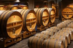 Champagne in botti di rovere in una cantina di Reims, Francia. Qui si celano i segreti del più celebre e festoso dei vini.

