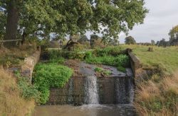 Charlecote Park a Stratford-upon-Avon, Inghilterra - Dimora della famiglia Lucy sin dal XIII° secolo, questa magnifica abitazione in stile Tudor fatta costruire da Sir Thomas Lucy su ...