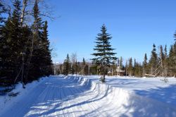 Charlevoix, Quebec: i sentieri per le motoslitte (o ski-doo) che attraversano i boschi e le montagne sono tracciati ogni anno da oltre cinquemila volontari iscritti ai motoclub. Esistono mappe ...
