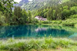 Christlessee, un lago immerso nella natura vicino a Oberstdorf (Algovia), Germania. Situato a 916 metri di altezza sul livello del mare, questo lago è alimentato da sorgenti disposte ...