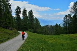 Ciclista in allenamento sulle mulattiere che salgano sul monte Spolverino a Folgarida