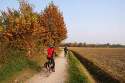 Cicloturismo in Franciacorta tra Brescia e Bergamo, Lombardia, in autunno. Considerato un vero e proprio paradiso dagli amanti delle due ruote, il territorio della Franciacorta può essere ...