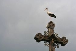 Una cicogna si riposa su un crocifisso in Lituania - © Vaida / shutterstock.com