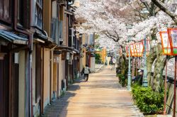 Ciliegi in fiore lungo Kyoka No Michi nei pressi del fiume Asanogawa a Kanazawa, Giappone - © Lifebrary / Shutterstock.com