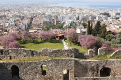 Ciliegi in fiore nel castello di Patrasso, Grecia: una bella immagine dell'antica fortezza fotografata dall'alto.
