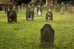 Cimitero ebraico a Hameln, Germania. Vecchie lapidi in pietra di un grande cimitero di religione ebraica della città tedesca - © Philip Lange / Shutterstock.com