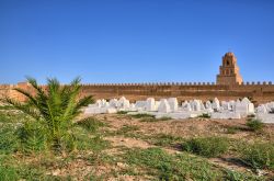 Cimitero musulmano nei pressi della Grande Moschea di Kairouan, Tunisia - In calce bianca le tombe dell'antico cimitero musulmano ospitato di fronte alla moschea di 'Uqba © Dmitry ...