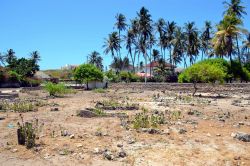 Cimitero musulmano a Watamu (Kenya): passeggiando ...