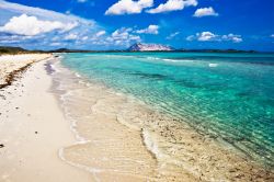 La Cinta: la spiaggia più famosa di San Teodoro, Sardegna - La Cinta è senza dubbio la spiaggia più nota e frequentata di San Teodoro, un vero e proprio paradiso di mare ...