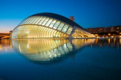 Una suggestiva foto serale della Città delle Arti e delle Scienze illuminata che si riflette nella vasca antistante. Il complesso, progettato dall'architetto Santiago Calatrava, è ...