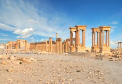 L'antica città di Palmira, nel cuore della Siria - © Waj / Shutterstock.com