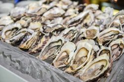 Clarenbridge Oyster Festival, la manifestazione nell'ovest dell'Irlanda. Il villaggio di Clarenbridge, sulle sponde del fiume Clarin alla foce della baia di Dunbulcan, è famoso ...