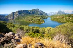 Il lago di Coghinas, la natura selvaggia di uno dei laghi più belli della Sardegna.