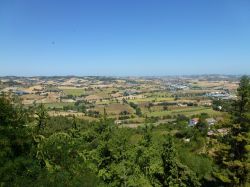 Colline di Osimo, entroterra del Conero