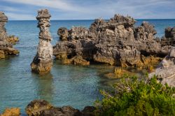 Colonne di calcare a Tobacco Bay, Bermuda. Siamo in una delle zone più celebri dell'arcipelago: grazie alle sue acque cristalline e poco profonde, Tobacco Bay è forse la migliore ...