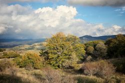 Colori autunnali nel Parco dei Nebrodi, Sicilia. Una suggestiva veduta dal Castell'Umberto situato sulla dorsale nord occidentale del Monte Rocca di Poggio fra le fiumare di Naso e di Fitalia.
 ...