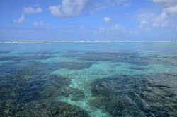Coralli e reef nell'area di Mahebourg, Mauritius - Uno dei panorami più suggestivi offerti da questo paradiso dell'oceano Indiano è la barriera corallina © Pack-Shot ...