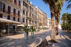 Corso Vittorio Emanuele nel centro di Bari, Puglia. E' la grande arteria alberata di Bari: divide la parte medievale della città da quella moderna voluta da Gioacchino Murat agli ...