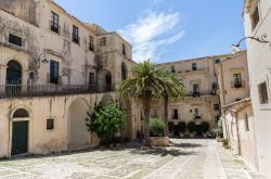 Cortile del Palazzo Nicolaci di Villadorata: il palazzo dei principi - è una cartolina tipica siciliana quella che possiamo ammirare in questa foto; dove le palme donano colore alla pietra ...