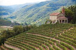 Cossano Belbo, nelle Langhe (Piemonte): la Chiesa di San Bovo