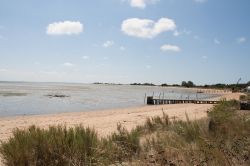 Panorama dalla costa atlantica dell'isola d'Oleron, Francia. Situata di fronte a Rochefort, Oleron è per estensione la più grande delle isole metropolitane dopo la Corsica.

 ...