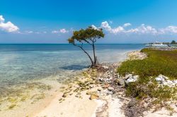La costa di Cayo Blanco (Cuba) dove ogni giorno giungono i catamarani dei tour organizzati da Varadero.