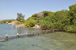 Costa di Roatan, Honduras - Un tratto di costa di Roatan, una delle meravigliose isole situate nella baia dell'Honduras, in Centro America © Ritu Manoj Jethani / Shutterstock.com