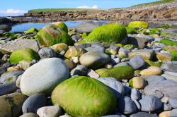 Costa irlandese a Capo Downpatrick, Irlanda del Nord. Osservando il tratto costiero del promontorio di Downpatrick si rimane affascinati dallo spettacolo offerto dalla natura - © Judith ...