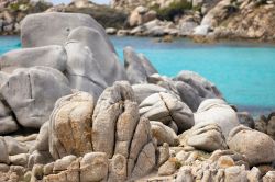 Costa granitica dell'isola di Lavezzi, Corsica: sullo sfondo l'acqua trasparente del Tirreno.
