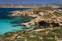 Costa dell'isola di Comino, Malta - Macchia mediterranea, mare e roccia: sono questi i tre elementi che rendono Kemmuna una delle isole più suggestive del canale di Gozo. La sua bella ...