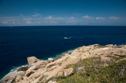 La costa rocciosa appena a nord di Giglio Campese - © Riccardo Meloni / Shutterstock.com